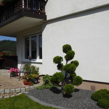 Ferienwohnung Waltraud Брилон Экстерьер фото