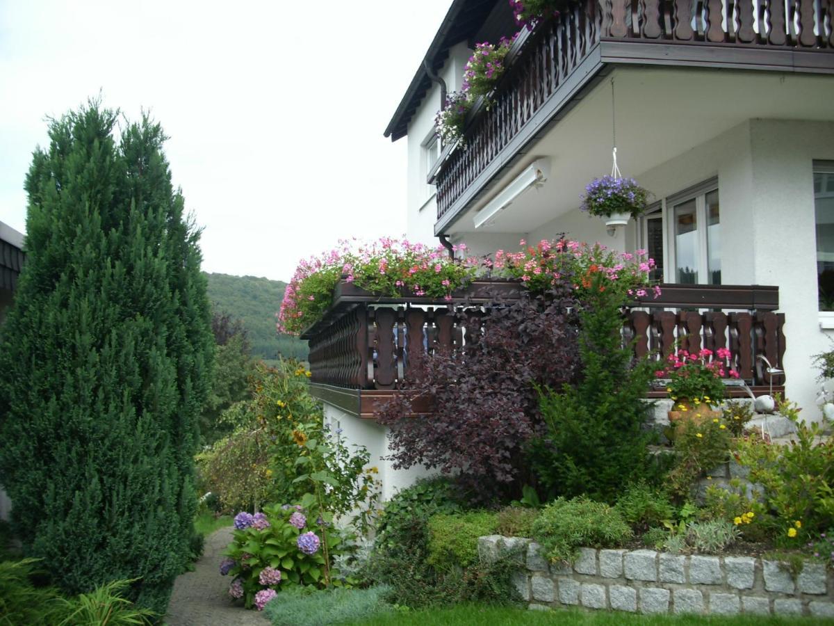 Ferienwohnung Waltraud Брилон Экстерьер фото