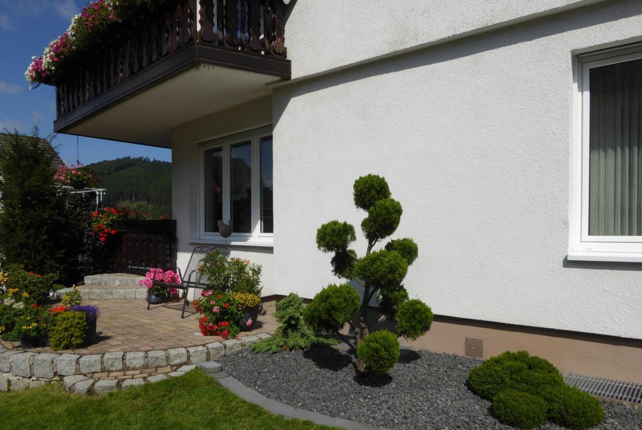 Ferienwohnung Waltraud Брилон Экстерьер фото